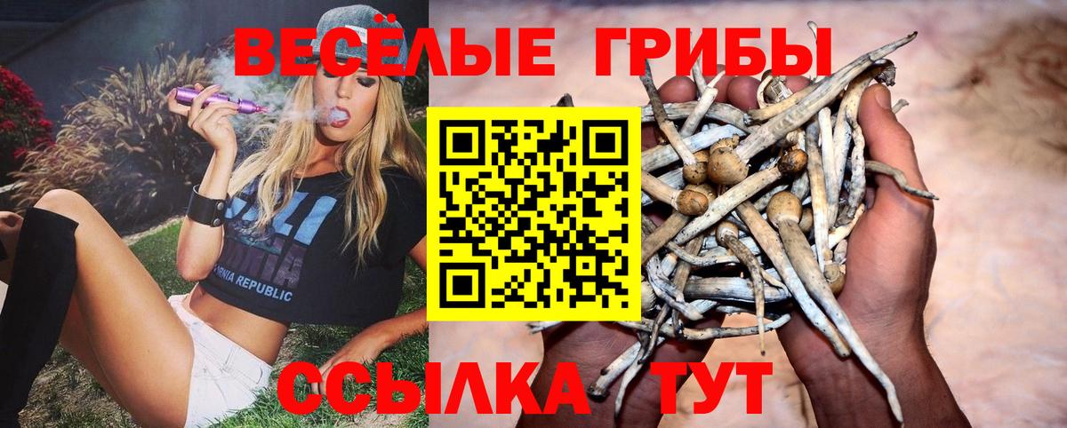 Галлюциногенные грибы ЛСД  Вход с VPN  Северобайкальск 